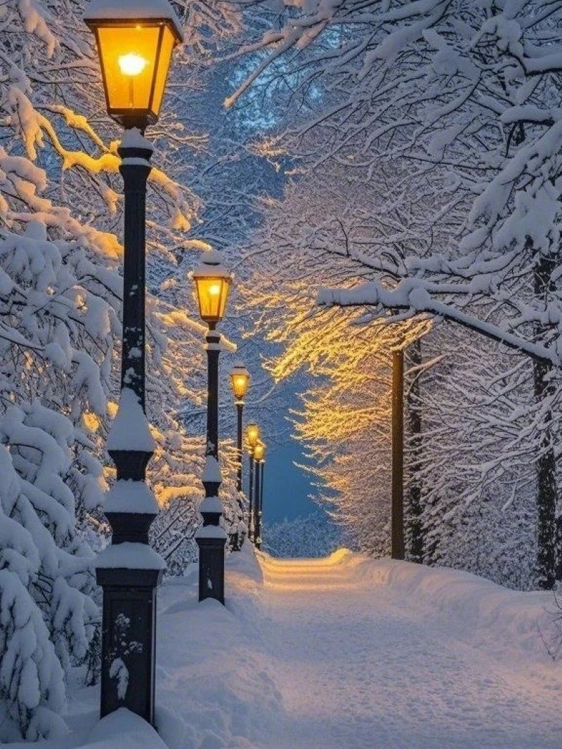 hình ảnh tuyết rơi đẹp nhất 24