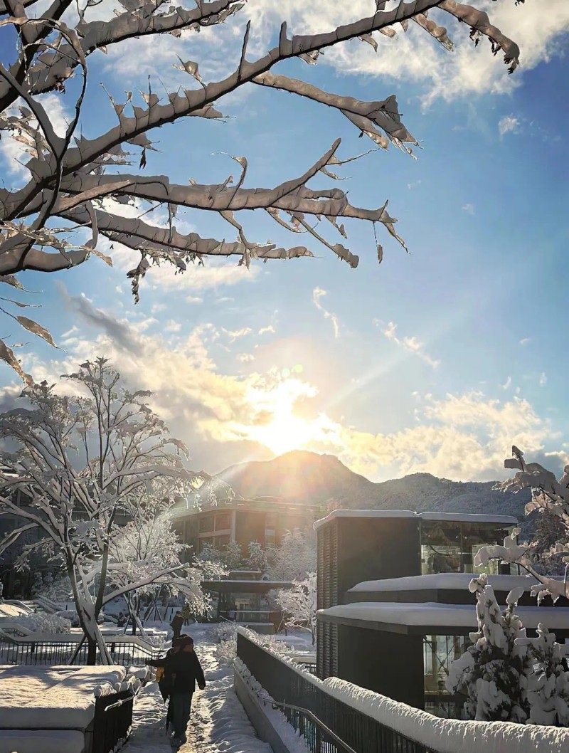 hình ảnh tuyết rơi đẹp nhất 29