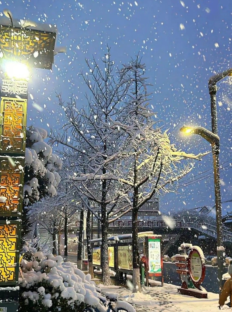 hình ảnh tuyết rơi đẹp nhất 30