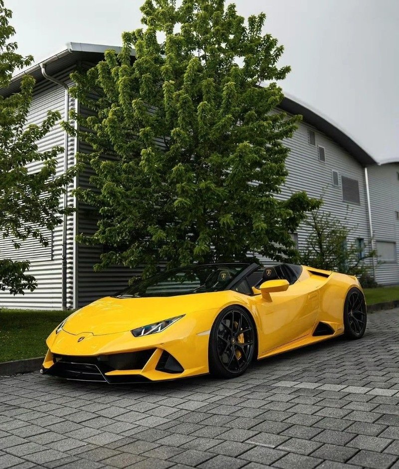 hình ảnh xe lamborghini 7