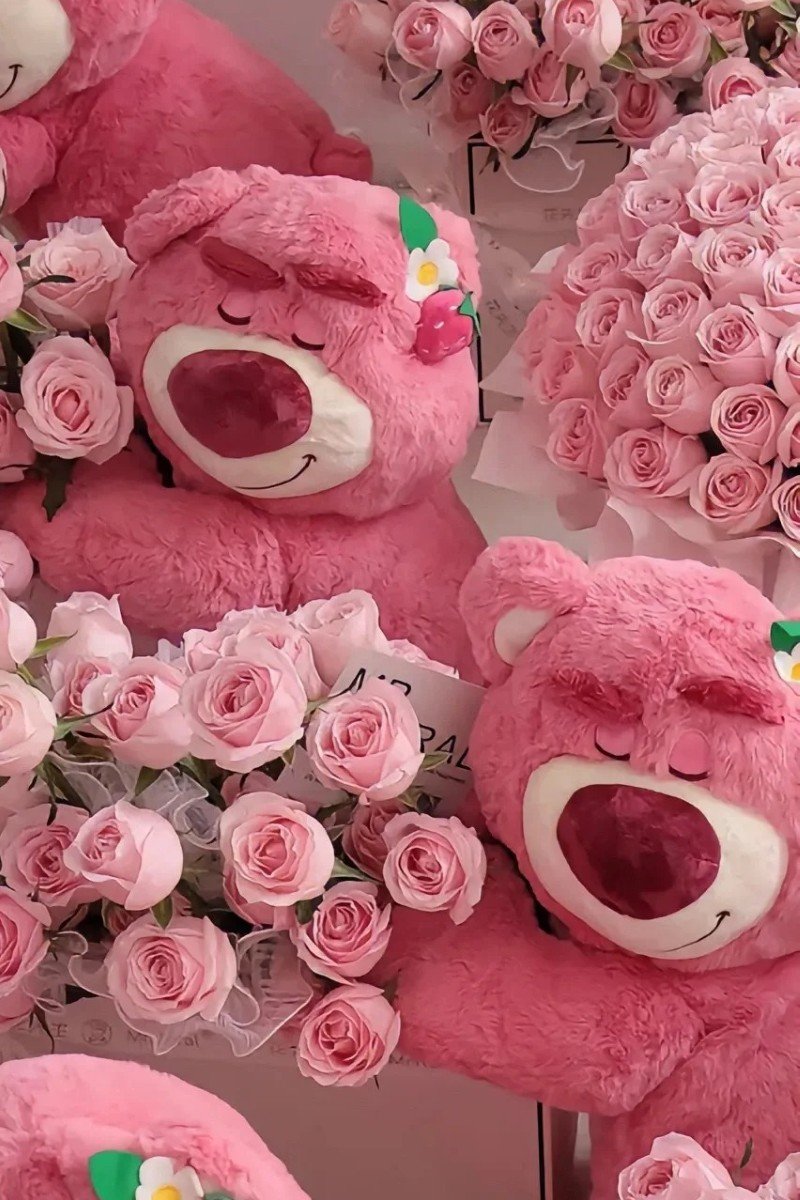 hình nền điện thoại gấu dâu 5