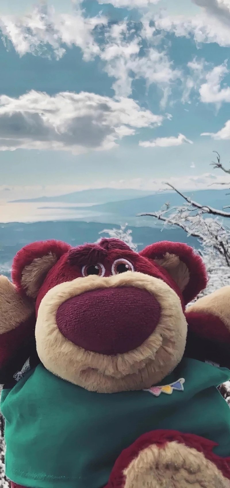 hình nền gấu dâu 14