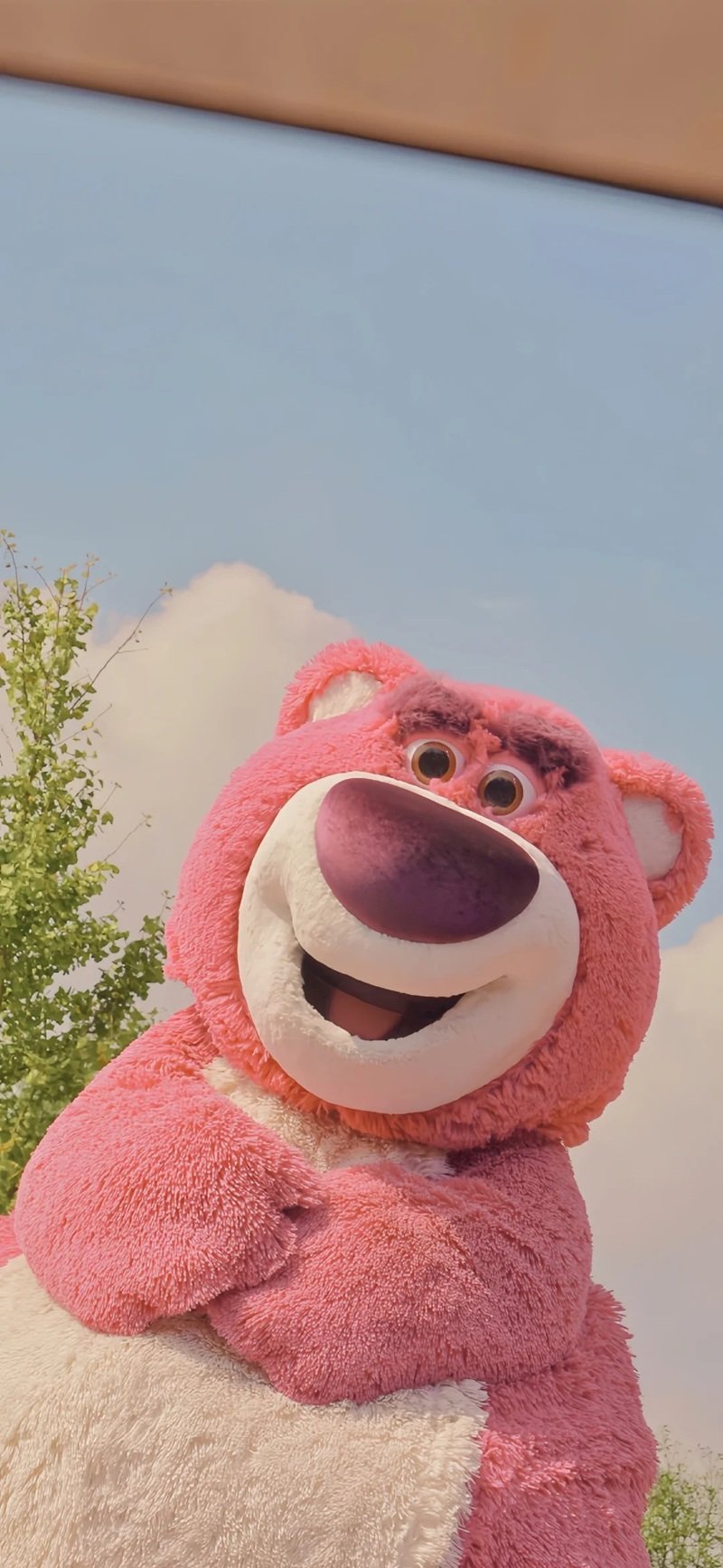 hình nền gấu dâu 22