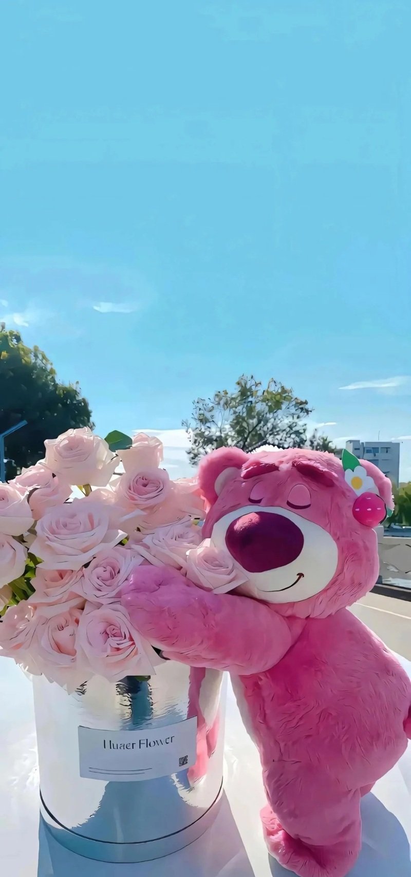 hình nền gấu dâu 4