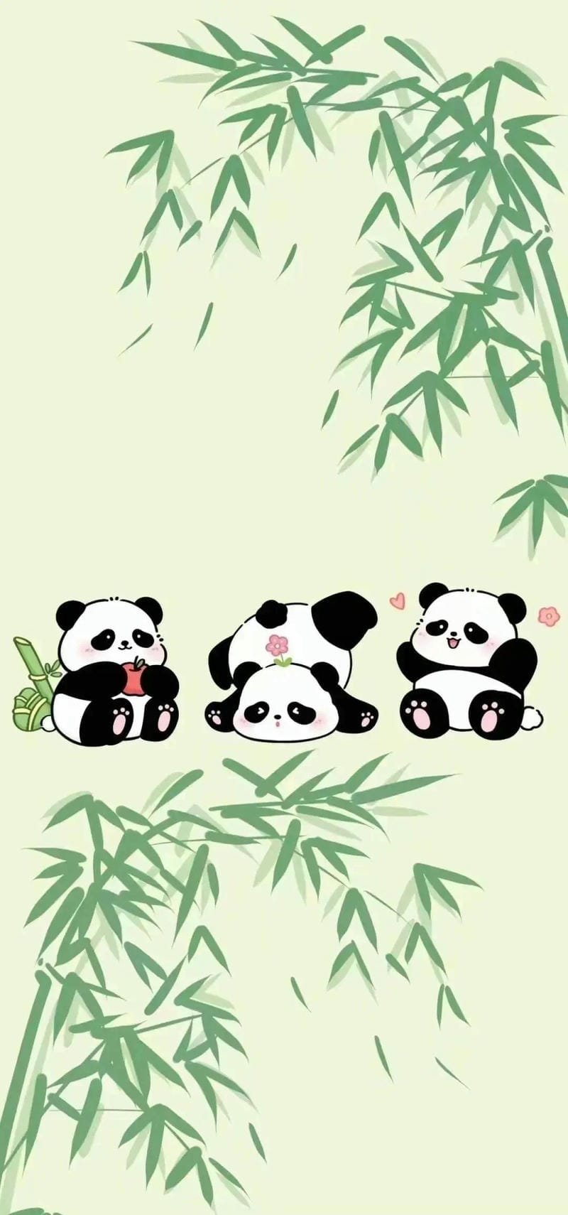 Hình nền gấu trúc cute với đôi mắt tròn đáng yêu