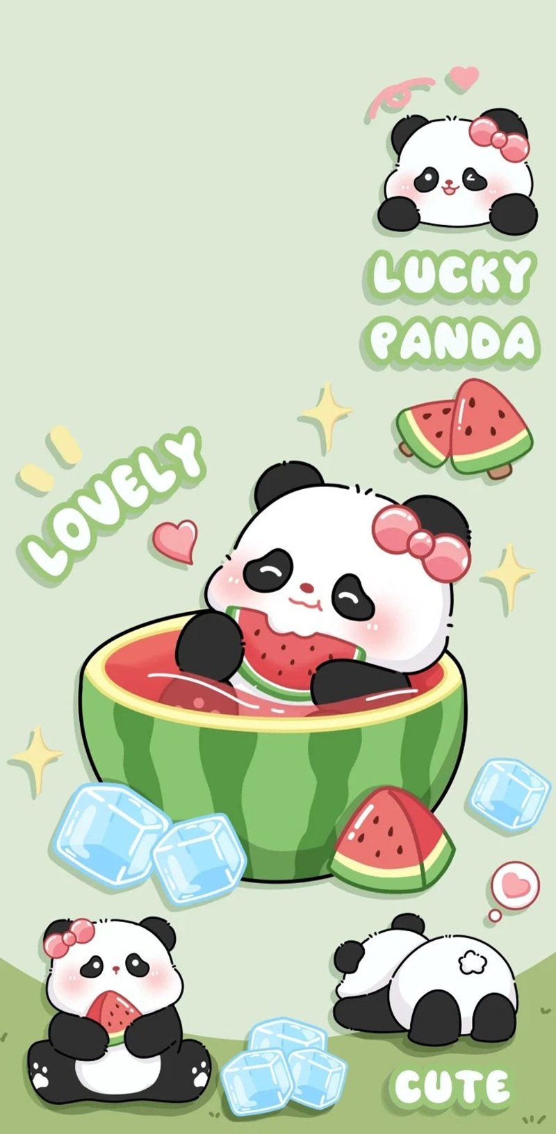 hình nền gấu trúc cute 1