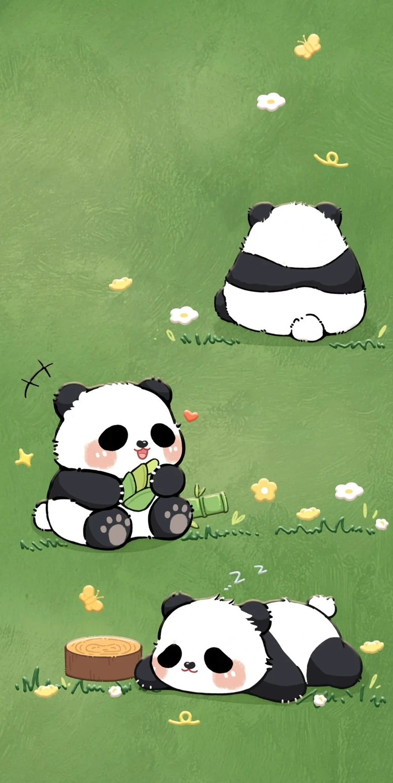 hình nền gấu trúc cute 20