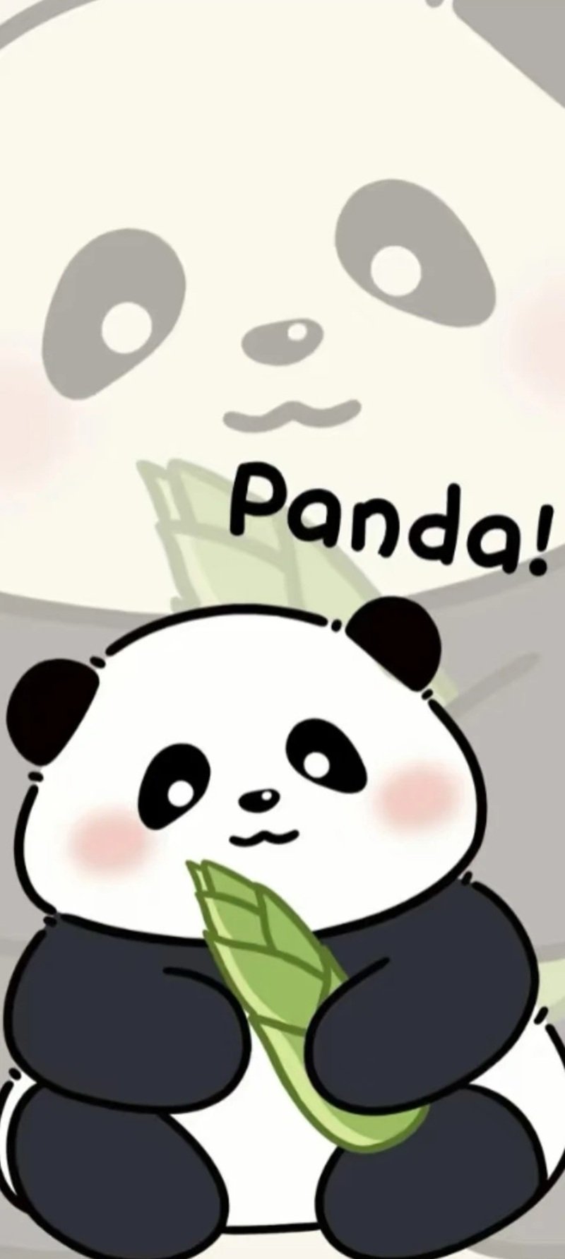 hình nền gấu trúc cute 5