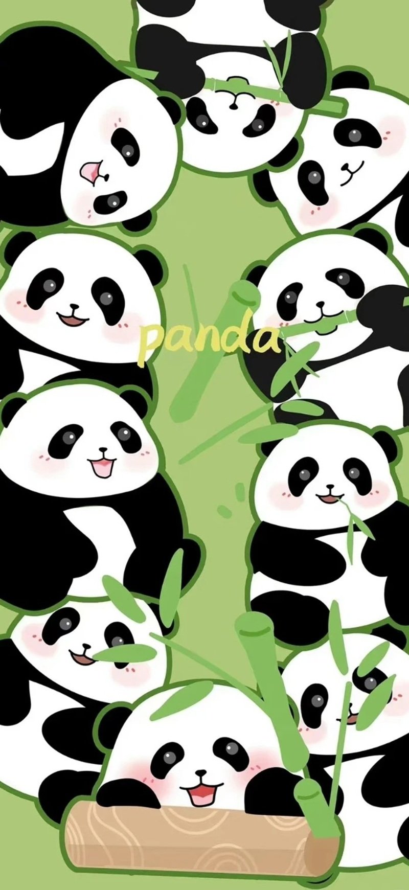 hình nền gấu trúc cute 7