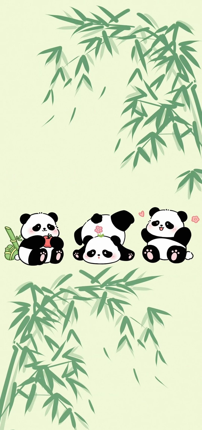 hình nền gấu trúc cute 9