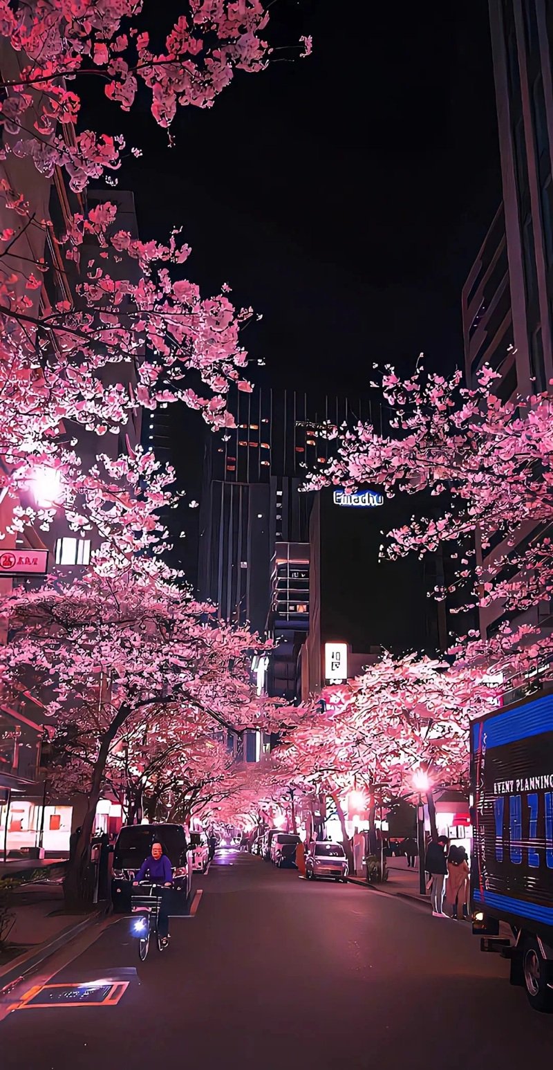 hình nền hoa anh đào rơi 14