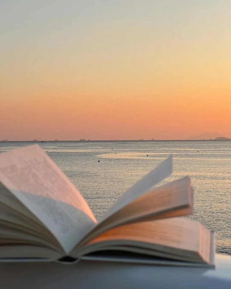 hình quyển sách 21