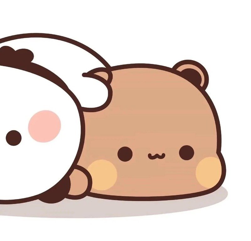 Biểu tượng gấu cute dành cho người yêu động vật