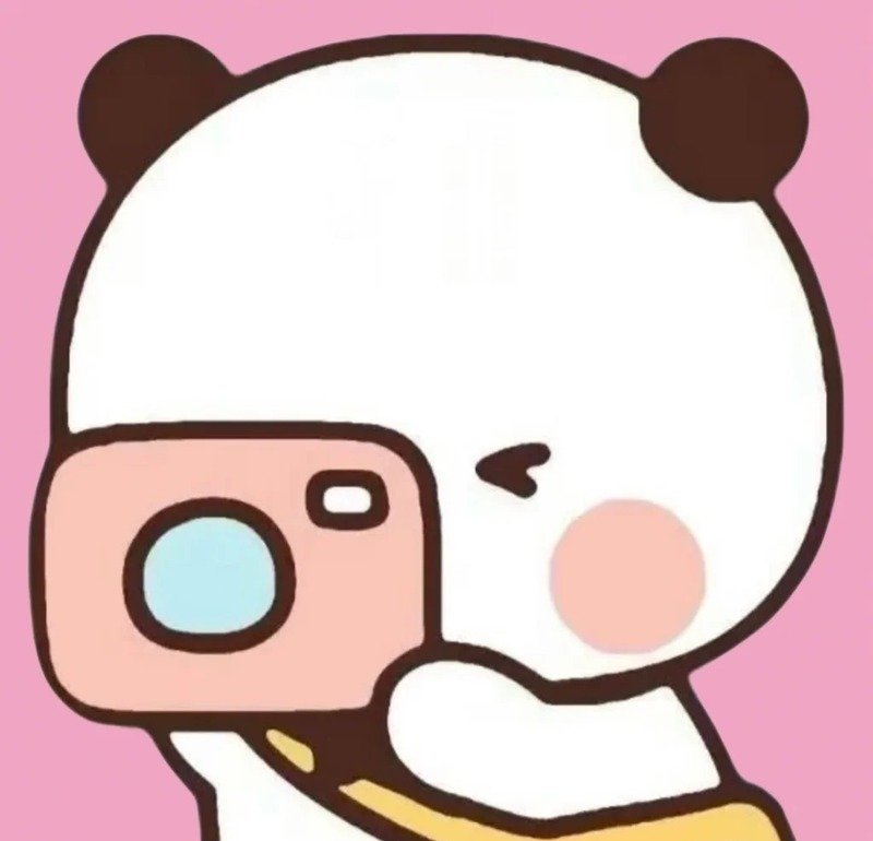 Icon gấu cute phong cách đơn giản