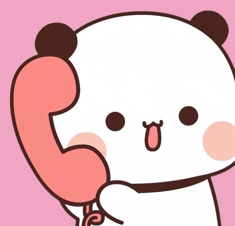Icon gấu dễ thương dành cho mạng xã hội