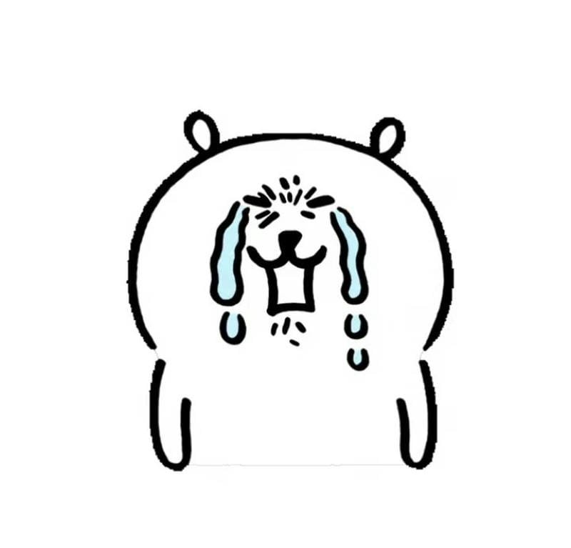 Ảnh động vật cute kết hợp phong cách hài hước