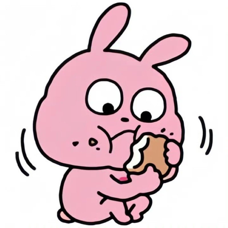 meme thỏ hồng 16