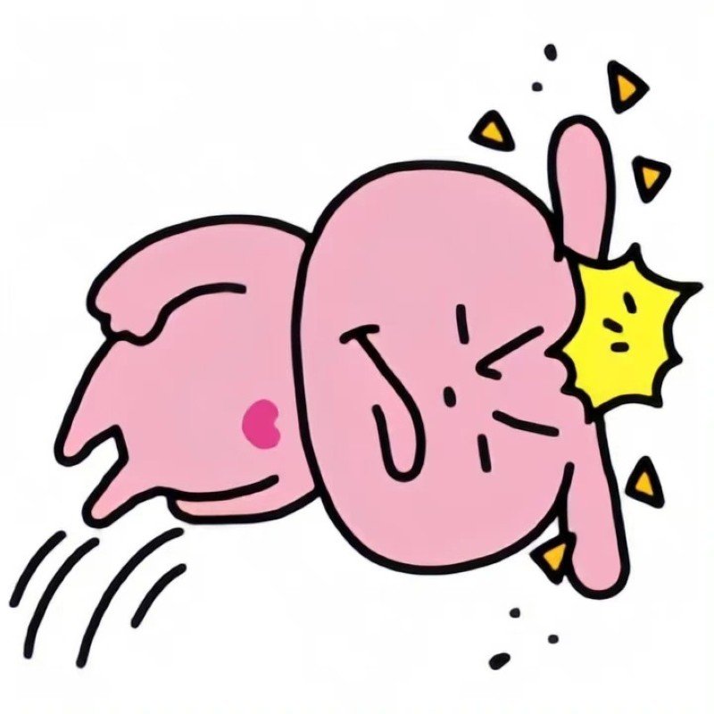 meme thỏ hồng 17