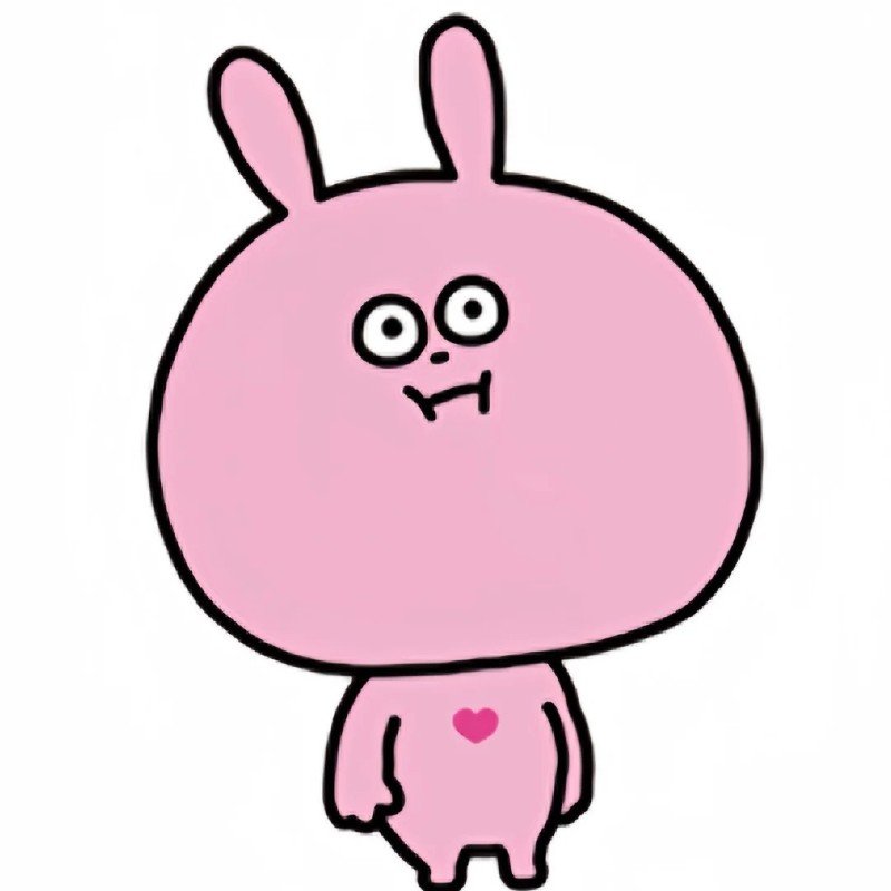 meme thỏ hồng 21