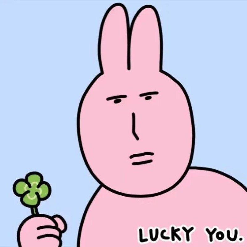 meme thỏ hồng 28