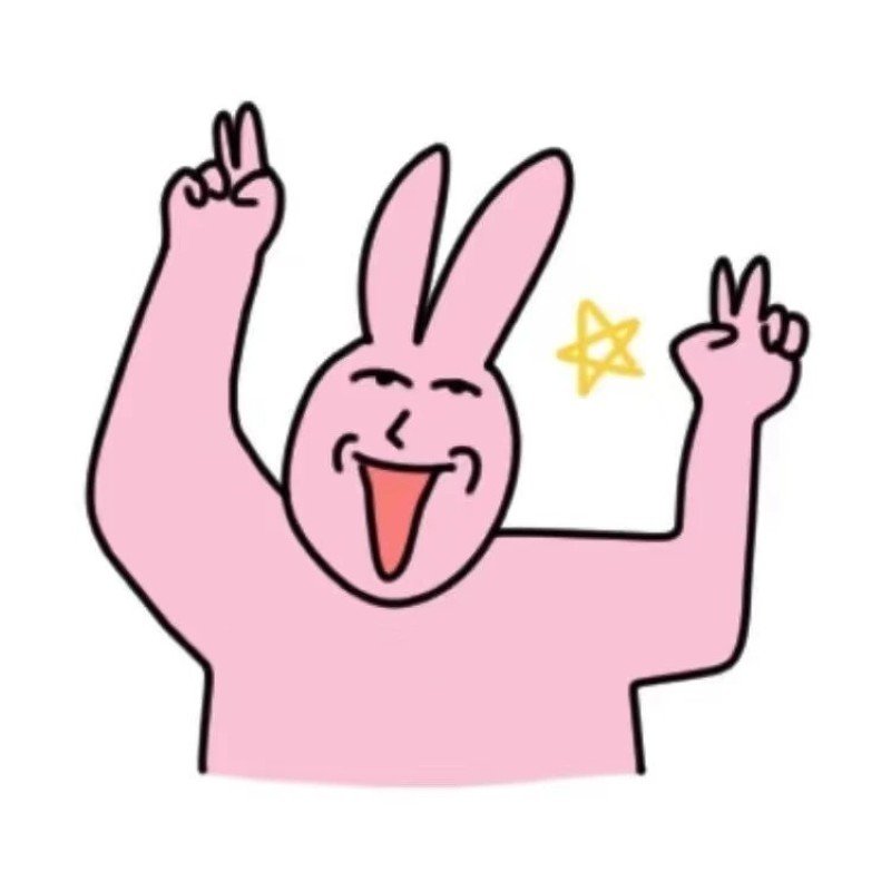 meme thỏ hồng 29