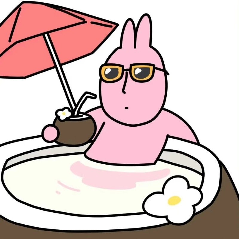 meme thỏ hồng 31