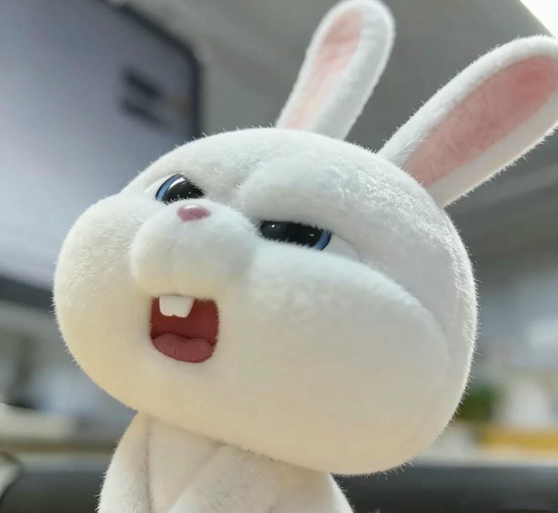 Ảnh thỏ trắng với biểu cảm bất ngờ vui nhộn