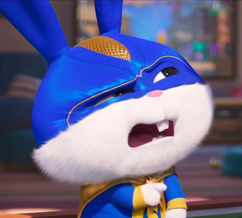Hình meme động vật hài hước dành cho bộ sưu tập