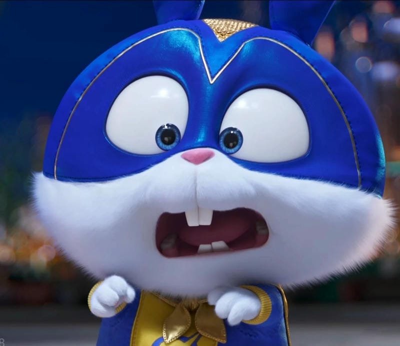 Hình động vật hài hước phù hợp làm avatar