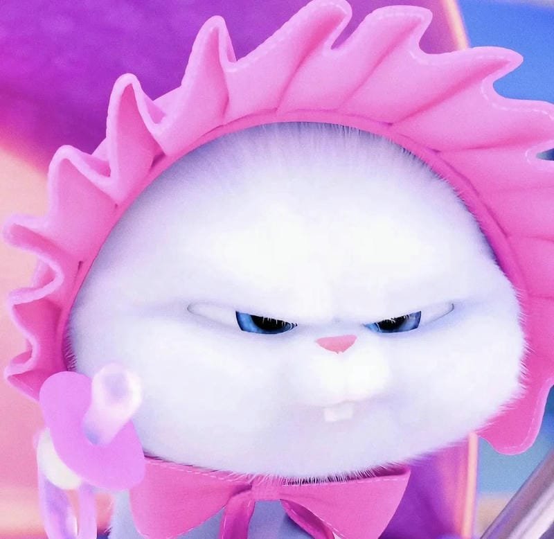 Thỏ snowball meme với biểu cảm gây cười độc đáo