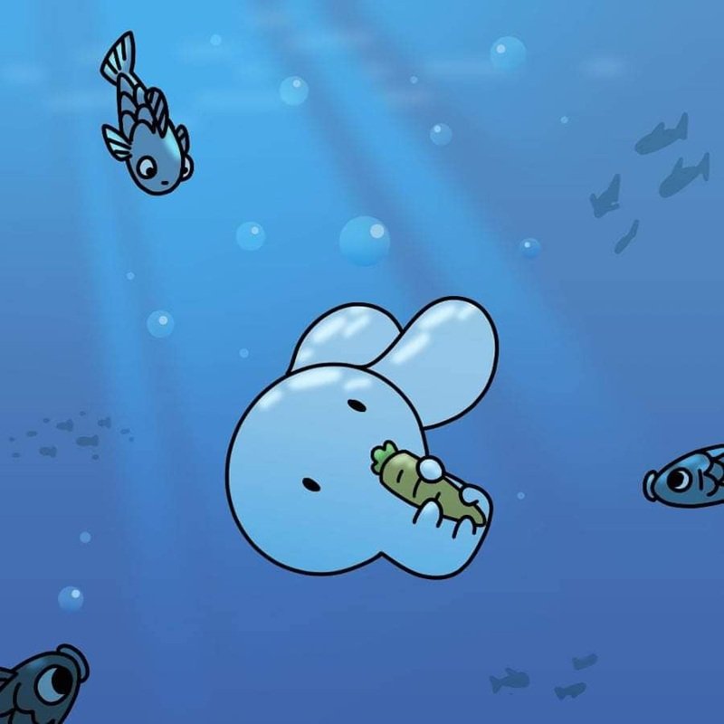 thỏ bảy màu meme 26