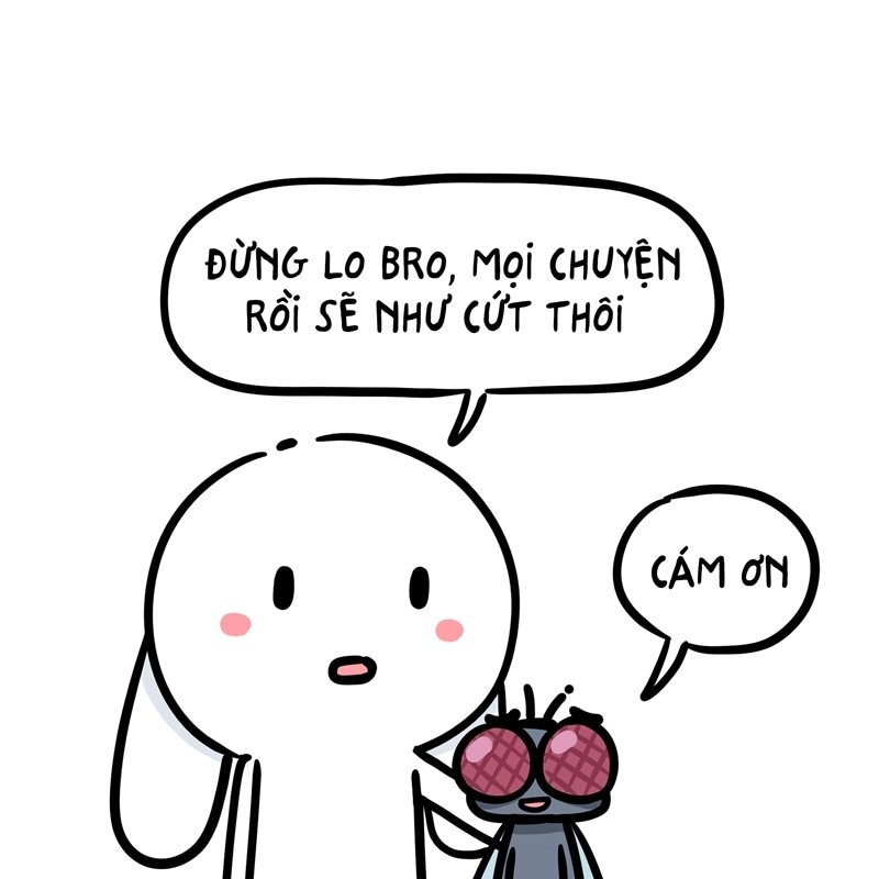 thỏ bảy màu meme 4