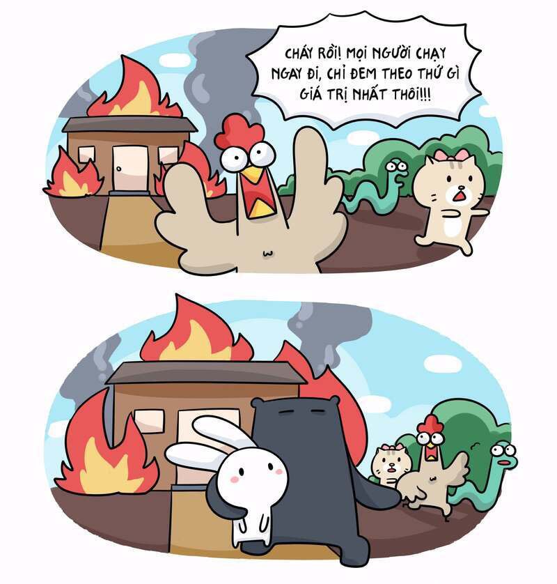 Hình nền thỏ bảy màu meme dễ thương