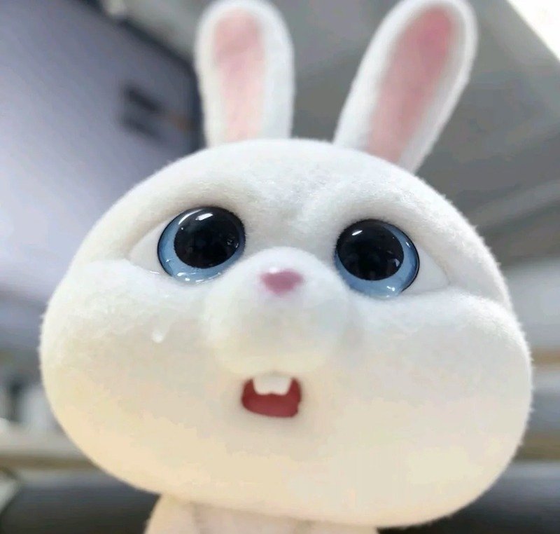 Hình nền thỏ chibi đáng yêu