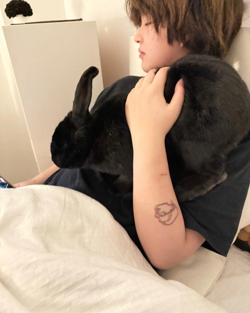 thỏ khổng lồ 32