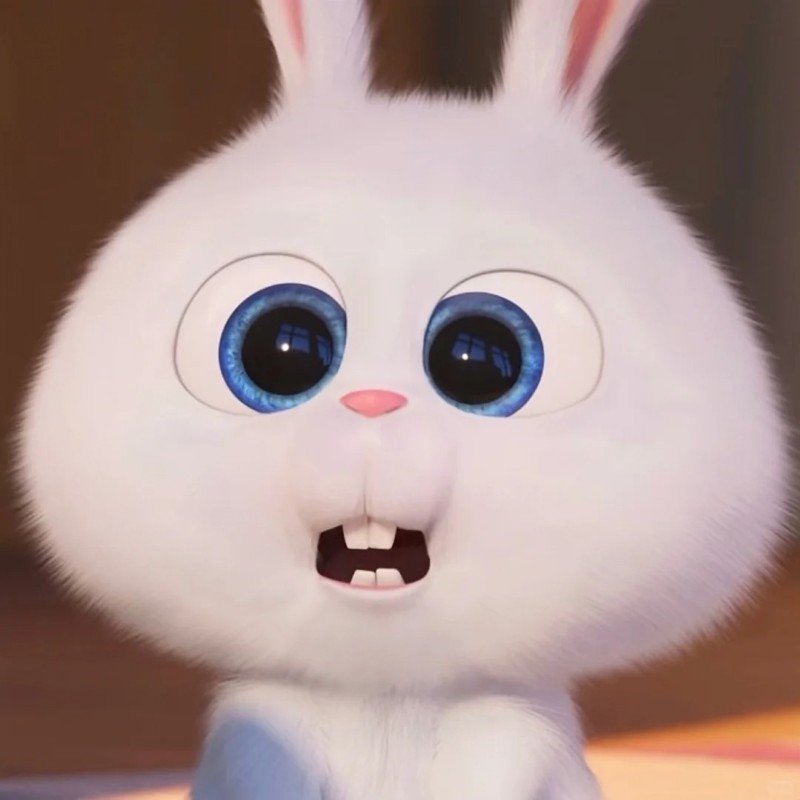 thỏ snowball 1
