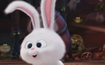 189+ Ảnh thỏ snowball dễ thương với ngoại hình bông xù