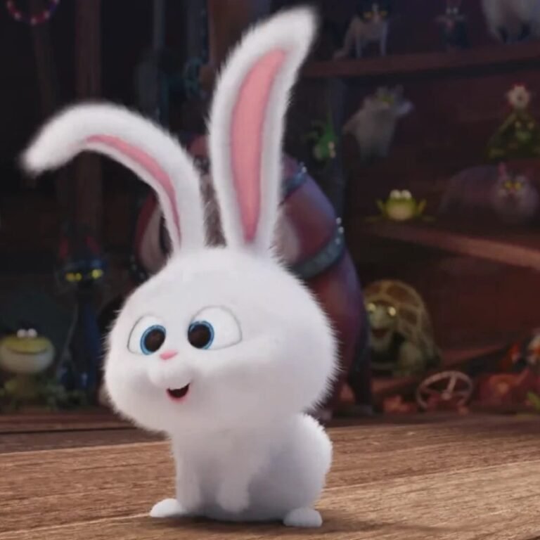 189+ Ảnh thỏ snowball dễ thương với ngoại hình bông xù