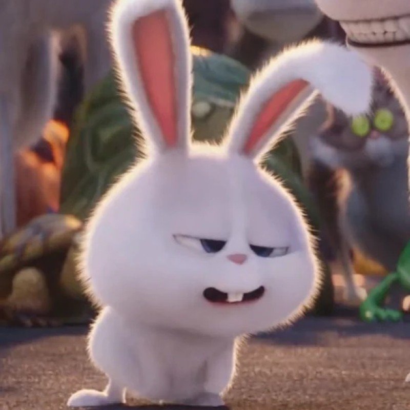 thỏ snowball avatar