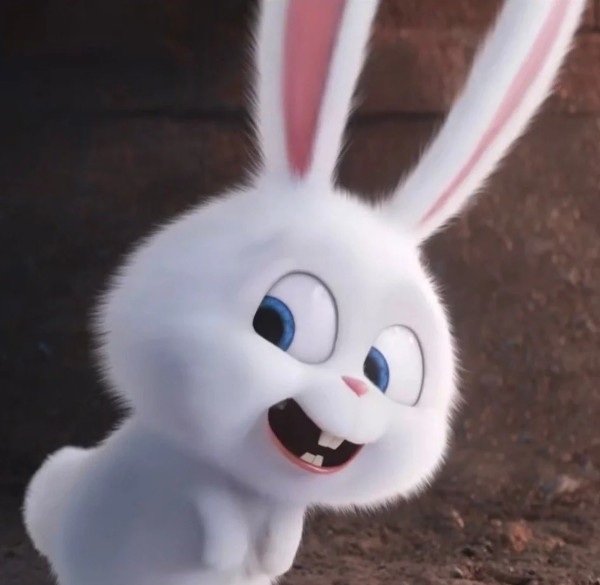 thỏ snowball meme 1