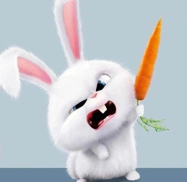 thỏ snowball meme 10