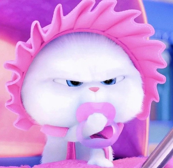 thỏ snowball meme 11