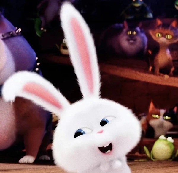 thỏ snowball meme 12