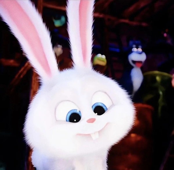 thỏ snowball meme 13