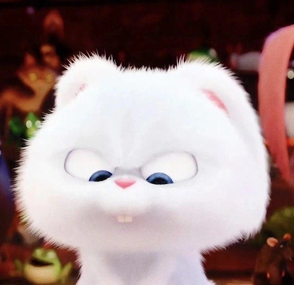 thỏ snowball meme 14