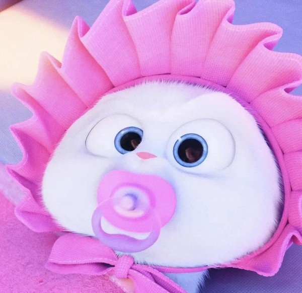 thỏ snowball meme 15