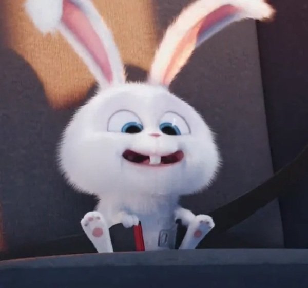 thỏ snowball meme 16