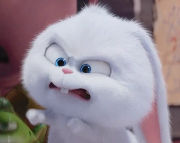 thỏ snowball meme 18