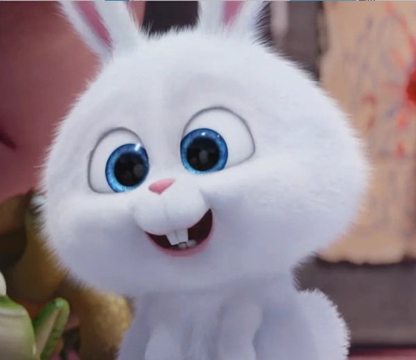 thỏ snowball meme 19