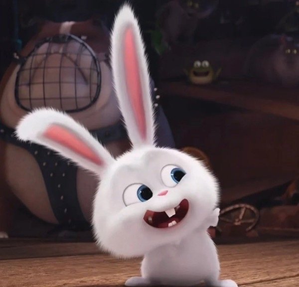 thỏ snowball meme 2